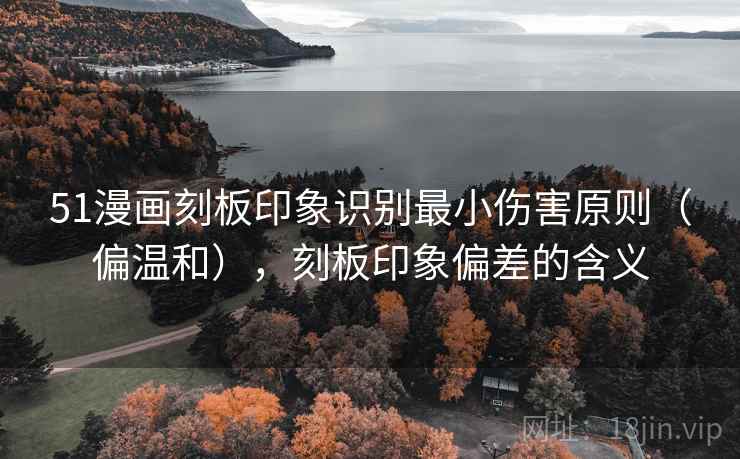 51漫画刻板印象识别最小伤害原则（偏温和），刻板印象偏差的含义